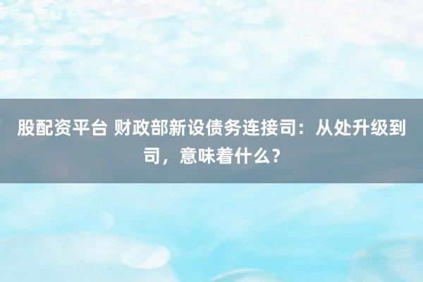 股配资平台 财政部新设债务连接司:从处升级到司,意味着什么?