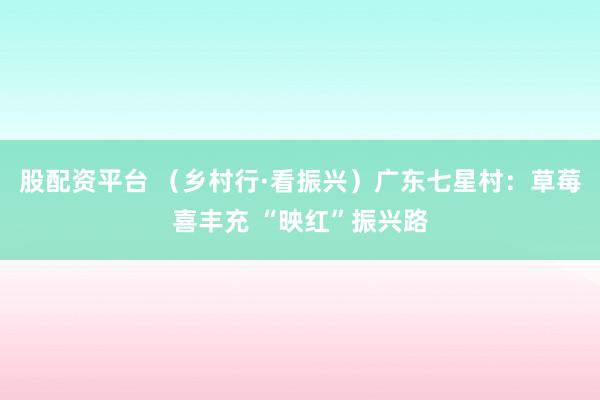 股配资平台 （乡村行·看振兴）广东七星村：草莓喜丰充 “映红”振兴路