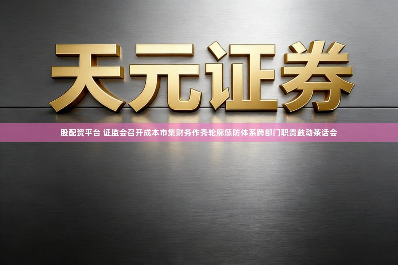 股配资平台 证监会召开成本市集财务作秀轮廓惩防体系跨部门职责鼓动茶话会